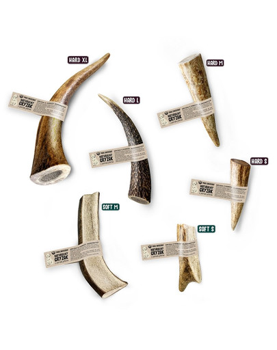 PAKA ZWIERZAKA Corna di cervo da masticare per cani Hard L 15 cm