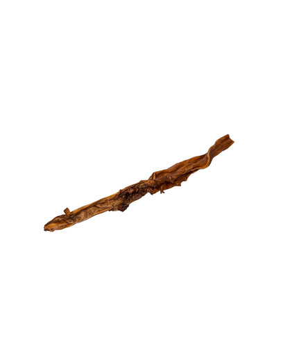 EARTH ANIMAL Chew medium mâche naturelle de bœuf pour chiens de taille moyenne