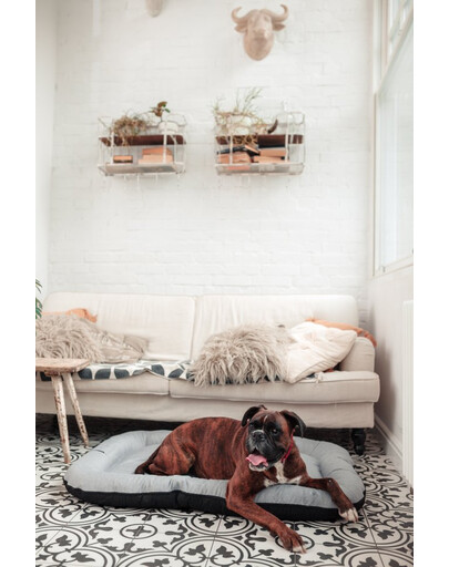 JOSERA Cat Leger - Croquettes pour chats adultes avec une activité faible - 10 kg