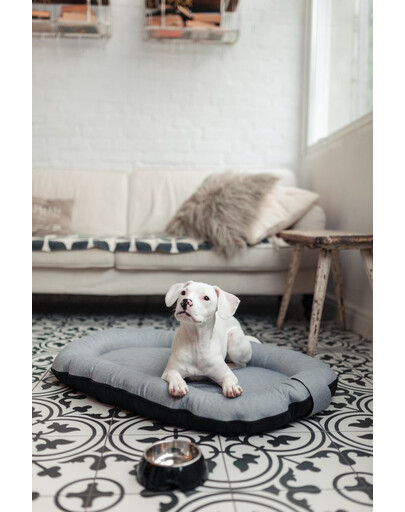 SCHMUSY RAGOUT avec viande de bœuf en sauce 100 g