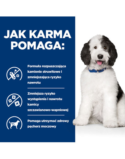 LAUREN DESIGN Szelki GUARD very scary rozm. M