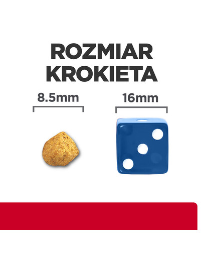 DOG CHOW Mature Adult Lamb 14kg - sucha karma