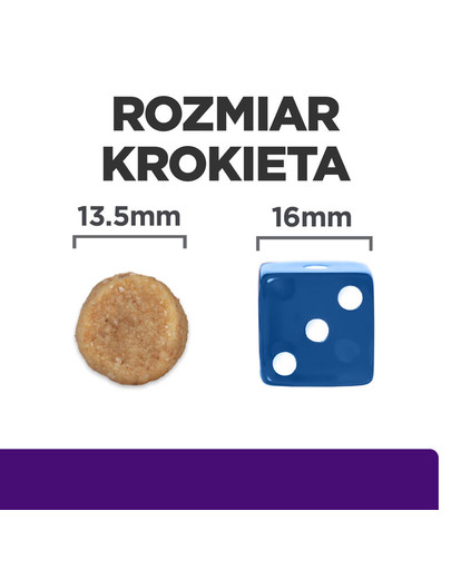 SYTA MICHA Skóra z wielbłąda dla psa 100g