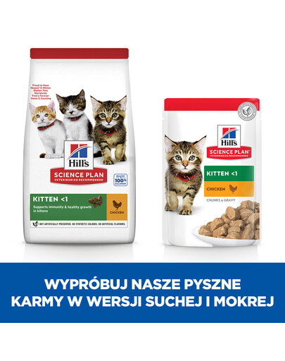 ECOMFY Jouet os dentaire 12,5cm Meaty