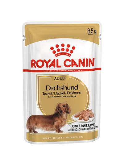 ROYAL CANIN Jamnik Adult 24 x 85 g karma mokra specjalnie dla dorosłych psów rasy jamnik