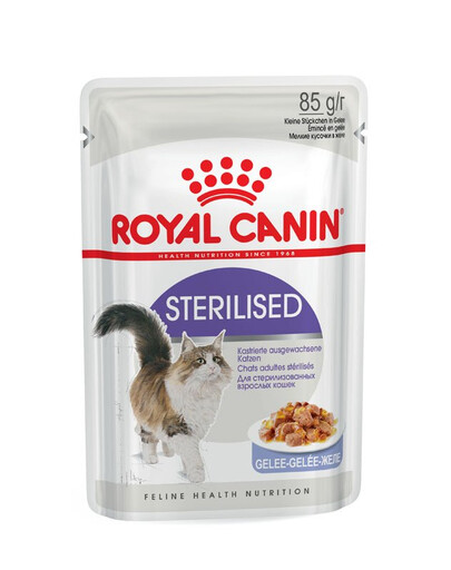 ROYAL CANIN Sterilised w galaretce karma mokra w galaretce dla kotów dorosłych, sterylizowanych 24 x 85 g