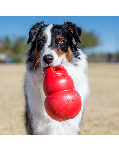 KONG Bounzer M 15 cm