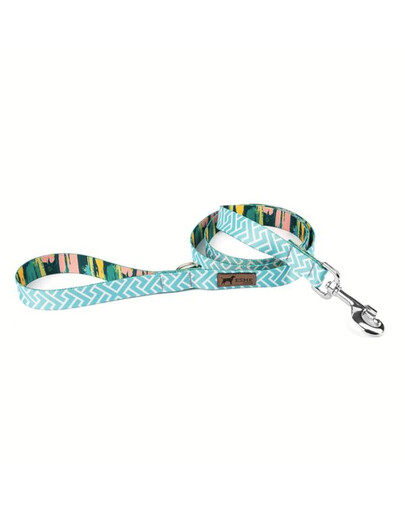ESME FOR DOG Smycz dla psa arctic ice 150 cm / 2,5 cm