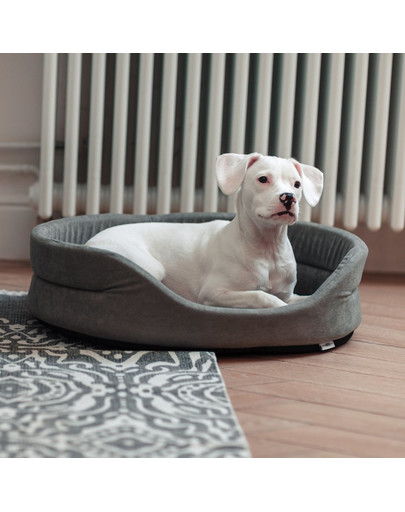 HILL'S Prescription Diet w/d Diabetes Care Chicken Adult 10 kg Diabète