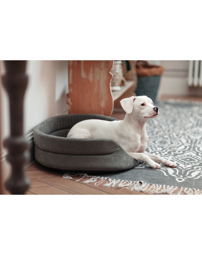FERA Letto per cani ovale con cuscino 53x44x16 cm grigio