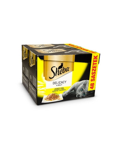 FLEXI Laisse automatique New Comfort S Sangle 5m Bleu