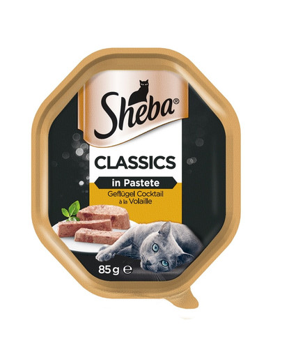 SHEBA Paté Classics Cocktail di pollame 22x85g