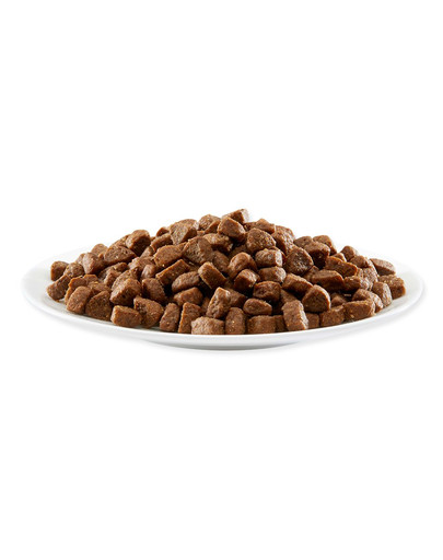 APPLAWS Cibo secco per cuccioli Pollo 2 kg