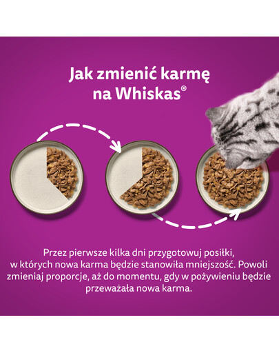 WHISKAS Adult saszetka 85g mokra karma dla dorosłych kotów w sosie z jagnięciną i indykiem