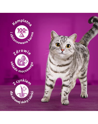 WHISKAS Tasty Mix Kremowe Wariacje z kurczakiem, jagnięciną i indykiem w sosie 4x85g