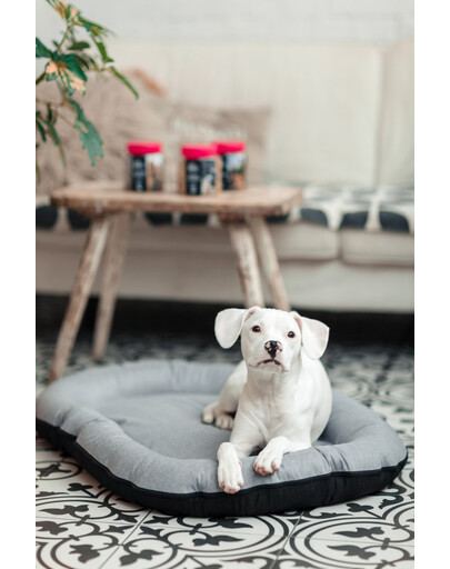 FERA Sky Ponton legowisko dla psa XL 116 x 83 cm