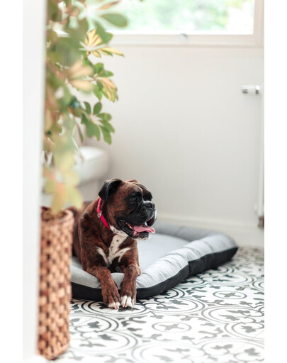 FERA Sky Ponton legowisko dla psa XL 116 x 83 cm