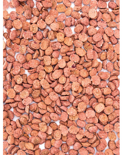JOSERA JosiDog Junior Sensitive - pour chiots au système digestif sensible - 3x2,7kg