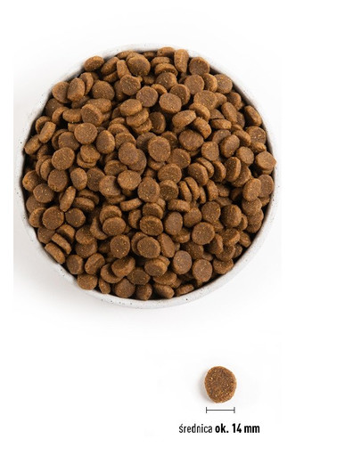 JOSERA JosiDog Pasztet z wołowiny 400g dla dorosłych psów