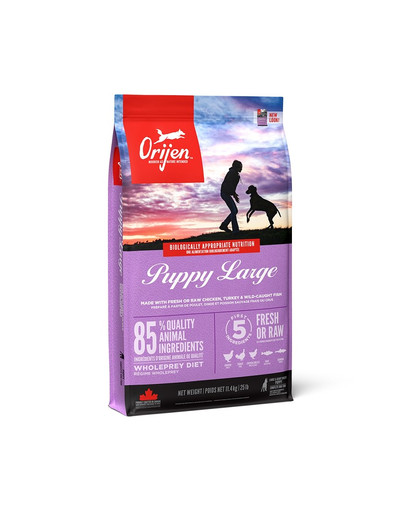 ALMO NATURE HFC Natural wołowina z ziemniakami i groszkiem w bulionie dla psa 280 g