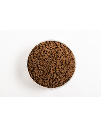 SANICAT Kittyfriend Clumping 10L litière bentonite