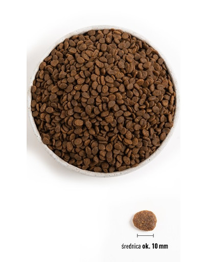 BRIT Care Hypoallergenic Adult Medium Breed 12+2 kg - Hypoallergénique pour Chien Adultes de races moyennes - Agneau