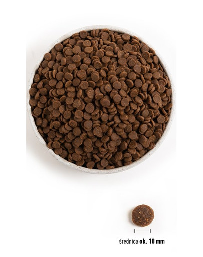 ARQUIVET Fresh Croquettes pour chiens semi-humides au poulet et au poisson de mer 10 kg