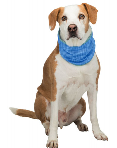 TRIXIE Bandana rinfrescante S: 20-30 cm