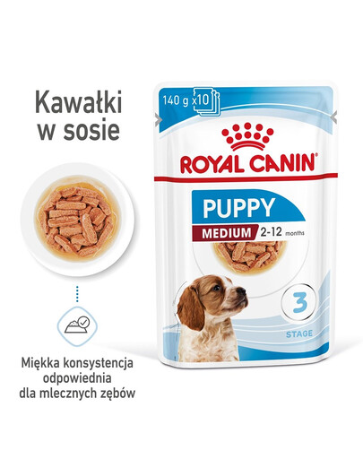 INABA Juicy Bites wilgotne przysmaki tuńczyk i kurczak dla kota 33,9 g (3x11,3 g)