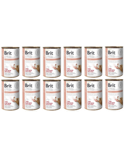 IAMS Cat Adult All Breeds Chicken 10 kg