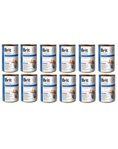 IAMS Cat Adult All Breeds Chicken 10 kg