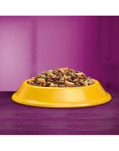 DOLINA NOTECI Premium - Riche en cabillaud et brocoli pour chiens adultes - 800g