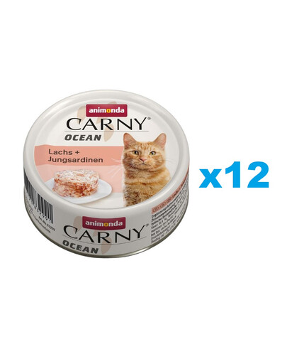 RINTI Kennerfleish Junior Beef - avec du bœuf pour chiots - 6x400 g