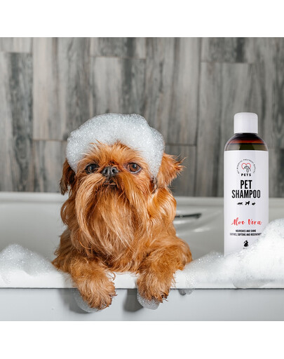 PETS Shampoo Aloe Vera szampon przeciwłupieżowy 250 ml