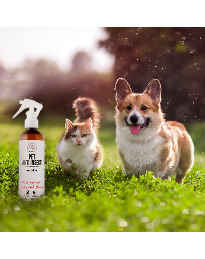 COMFY APPETIT PREMIUM Mousse à la dinde pour chats 12x85 g