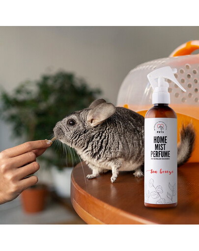 PETS Home Mist Perfume Sea Breeze 250 ml neutralizator zapachów w mgiełce do wnętrz