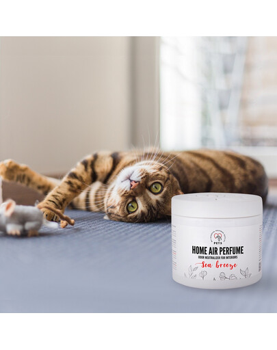 HILL'S Prescripition Diet Feline Metabolic - pour chats en surpoids - 8 kg + 12 x 85g sachets OFFERTS