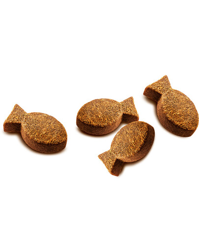 FRANCODEX Pluma-Pick Stimulant de croissance pour des plumes de volailles 400 g