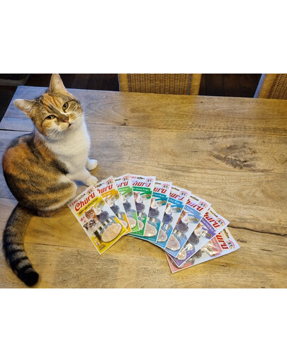 INABA Churu Cat bocconcino cremoso al pollo e formaggio per gatti 56 g