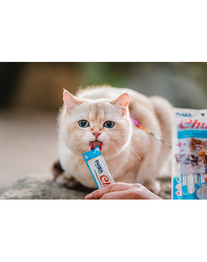 APPLAWS Cat Adult Chicken - Poulet sans céréales pour chats adultes - 2 kg