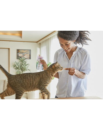 ANIMONDA  Vom Feinsten Chat adulte volaille + nouilles 100 g