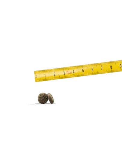 AMIPLAY Basic Dwójnik L 30 x 2cm Niebieski