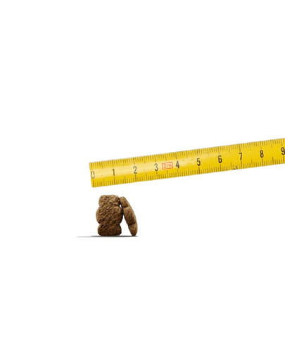 JOSERA Dog Kids 900g