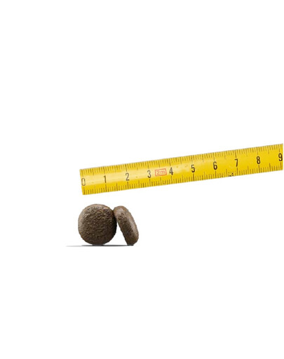 JOSERA Lachs&Kartoffel 12,5kg dla dorosłych psów z łososiem i ziemniakami + 2 x Denties with Poultry & Blueberry 180g GRATIS