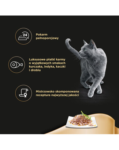 APPLAWS Cat Tin - Filet de thon en gelée - 12x(6x70g)