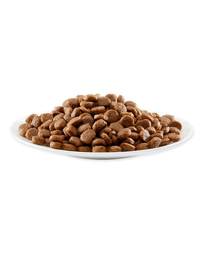APPLAWS Cibo secco per gatti al pollo 400g