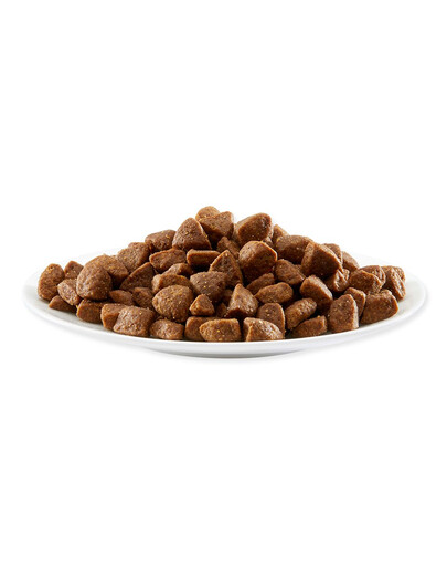 APPLAWS Per cani adulti di piccola e media taglia Pollo 7.5 kg