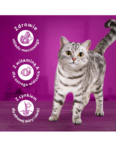 WHISKAS Adult 48x85g Fish Delicacies cibo umido per gatti adulti in gelatina con: salmone, tonno, merluzzo, pesce bianco