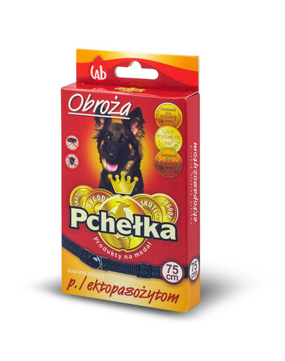 APPLAWS - Filet de thon avec anchois entier en bouillon - 12 x 70 g