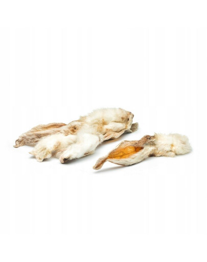 AMIPLAY Cotton Obroża półzaciskowa M 26-40 cm x 2 cm Czarny